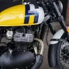 2026 Royal Enfield Bear 650 - Wild Honey