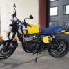 2026 Royal Enfield Bear 650 - Wild Honey