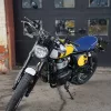 2026 Royal Enfield Bear 650 - Wild Honey