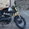 6985197c66d348533902c052 2027 Royal Enfield Bear 650 - Golden Shadow