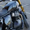 698519a001070e2c7907a702 2027 Royal Enfield Bear 650 - Golden Shadow