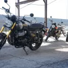 698519bb74564b4ed00be3c2 2027 Royal Enfield Bear 650 - Golden Shadow