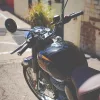 A4E48CE1-0FF0-4265-958B-354D47835369 2024 Royal Enfield Classic 350 - Halcyon Black