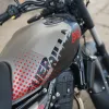 DSC01596 2027 Royal Enfield Guerrilla 450 Apex - Apex Black