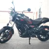 DSC01620 2027 Royal Enfield Guerrilla 450 Apex - Apex Black