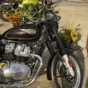DSC01660 2026 Royal Enfield Bullet 650 - Cannon Black