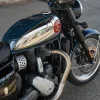 2026 BSA Gold Star 650 - Highland Green
