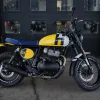 DSC02329 2027 Royal Enfield Bear 650 - Wild Honey