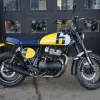 DSC02330 2027 Royal Enfield Bear 650 - Wild Honey