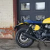 DSC02333 2027 Royal Enfield Bear 650 - Wild Honey