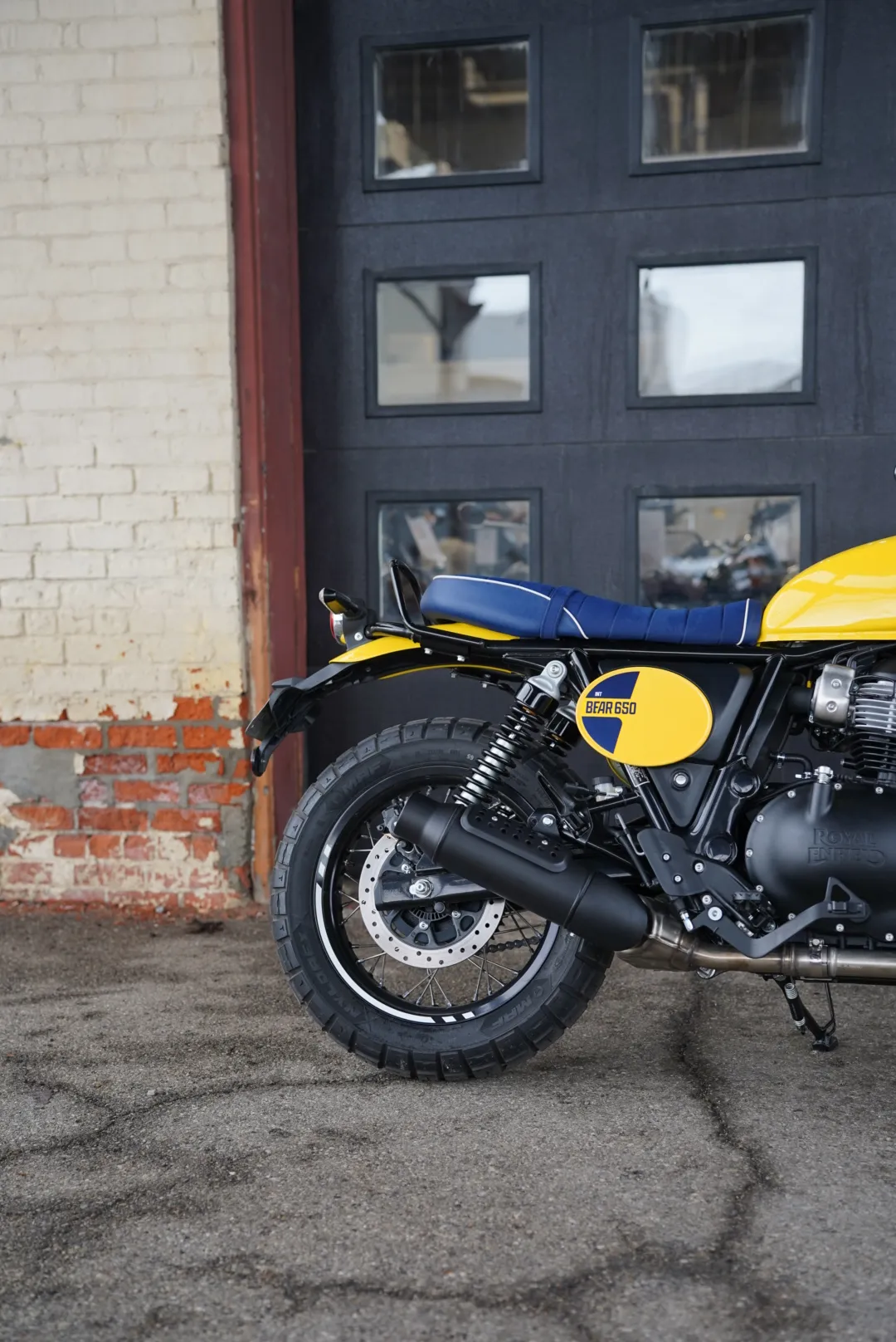 DSC02333 2027 Royal Enfield Bear 650 - Wild Honey