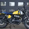 DSC02334 2027 Royal Enfield Bear 650 - Wild Honey