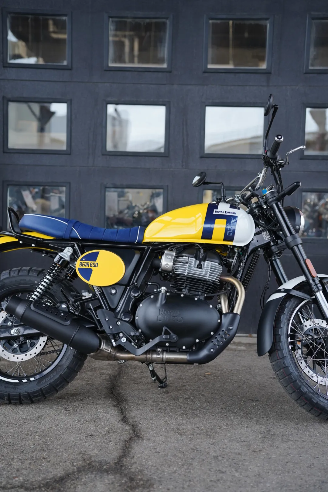 DSC02334 2027 Royal Enfield Bear 650 - Wild Honey