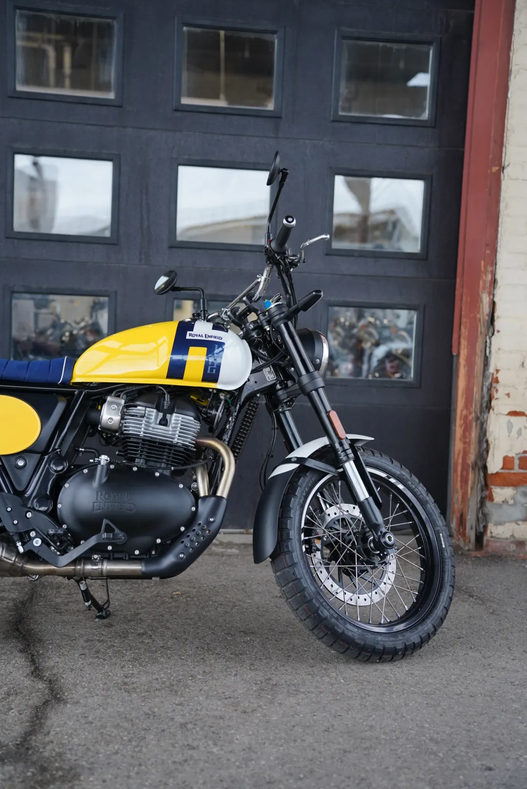 DSC02335 2027 Royal Enfield Bear 650 - Wild Honey