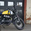 DSC02337 2027 Royal Enfield Bear 650 - Wild Honey