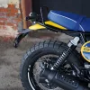 DSC02338 2027 Royal Enfield Bear 650 - Wild Honey