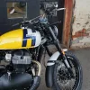 DSC02341 2027 Royal Enfield Bear 650 - Wild Honey