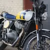 DSC02347 2027 Royal Enfield Bear 650 - Wild Honey