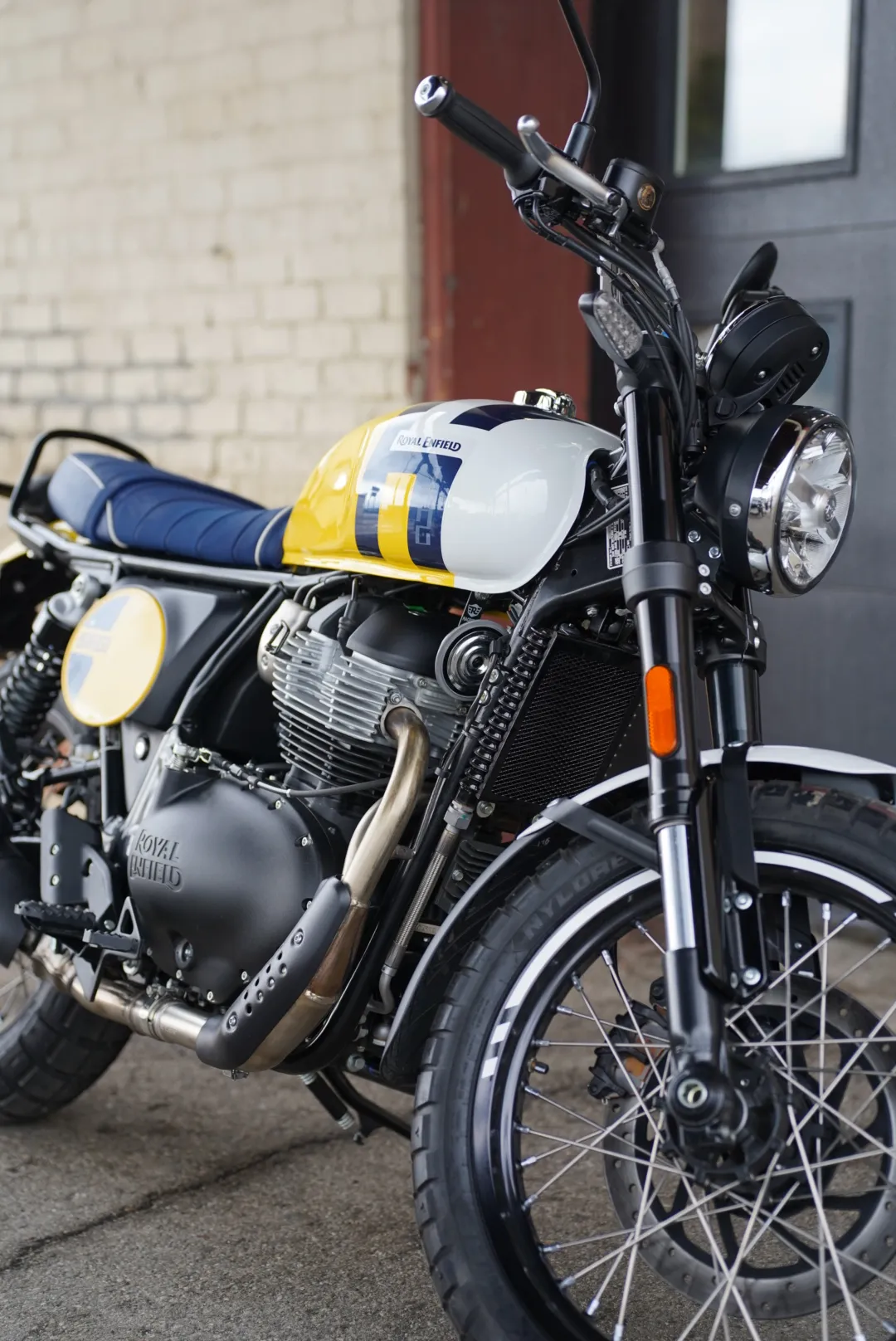 DSC02347 2027 Royal Enfield Bear 650 - Wild Honey