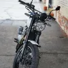 DSC02348 2027 Royal Enfield Bear 650 - Wild Honey