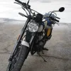 DSC02349 2027 Royal Enfield Bear 650 - Wild Honey