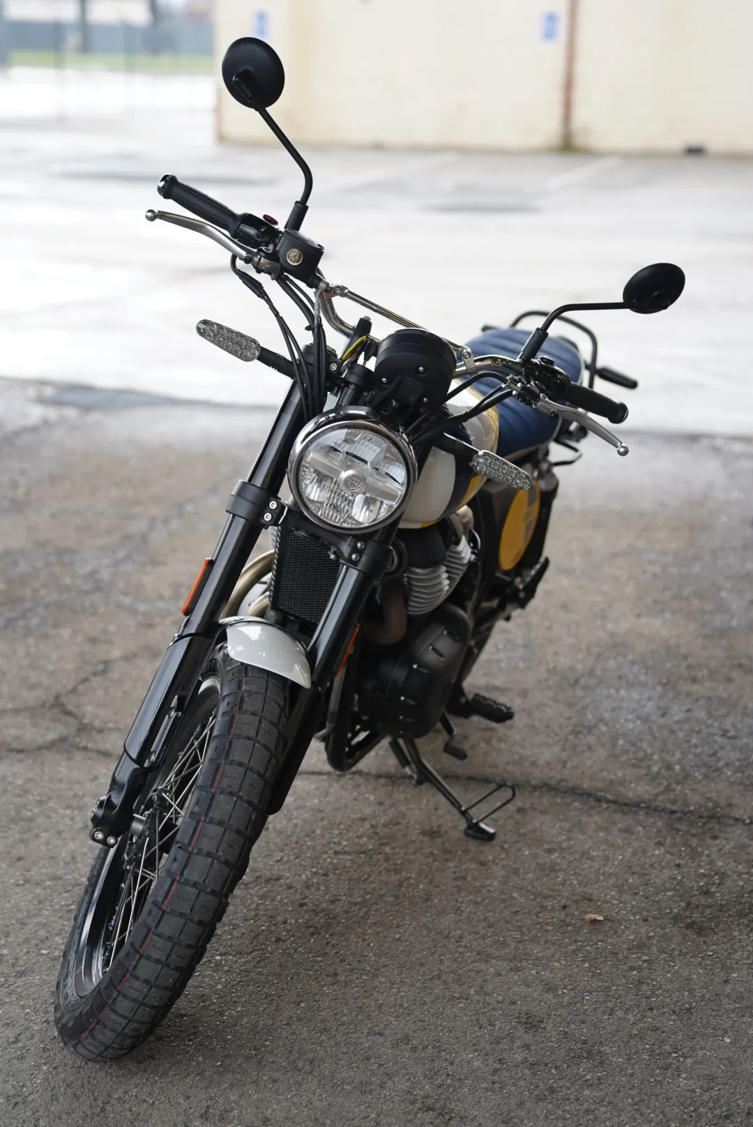 DSC02349 2027 Royal Enfield Bear 650 - Wild Honey