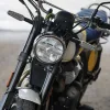 DSC02350 2027 Royal Enfield Bear 650 - Wild Honey