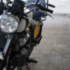 DSC02352 2027 Royal Enfield Bear 650 - Wild Honey