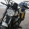DSC02353 2027 Royal Enfield Bear 650 - Wild Honey
