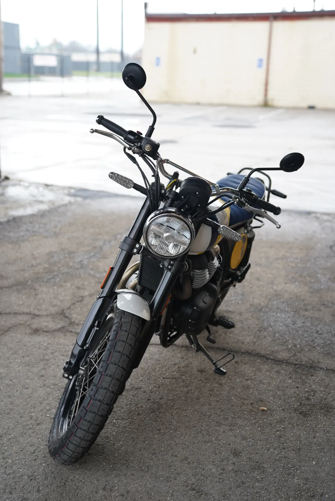DSC02354 2027 Royal Enfield Bear 650 - Wild Honey