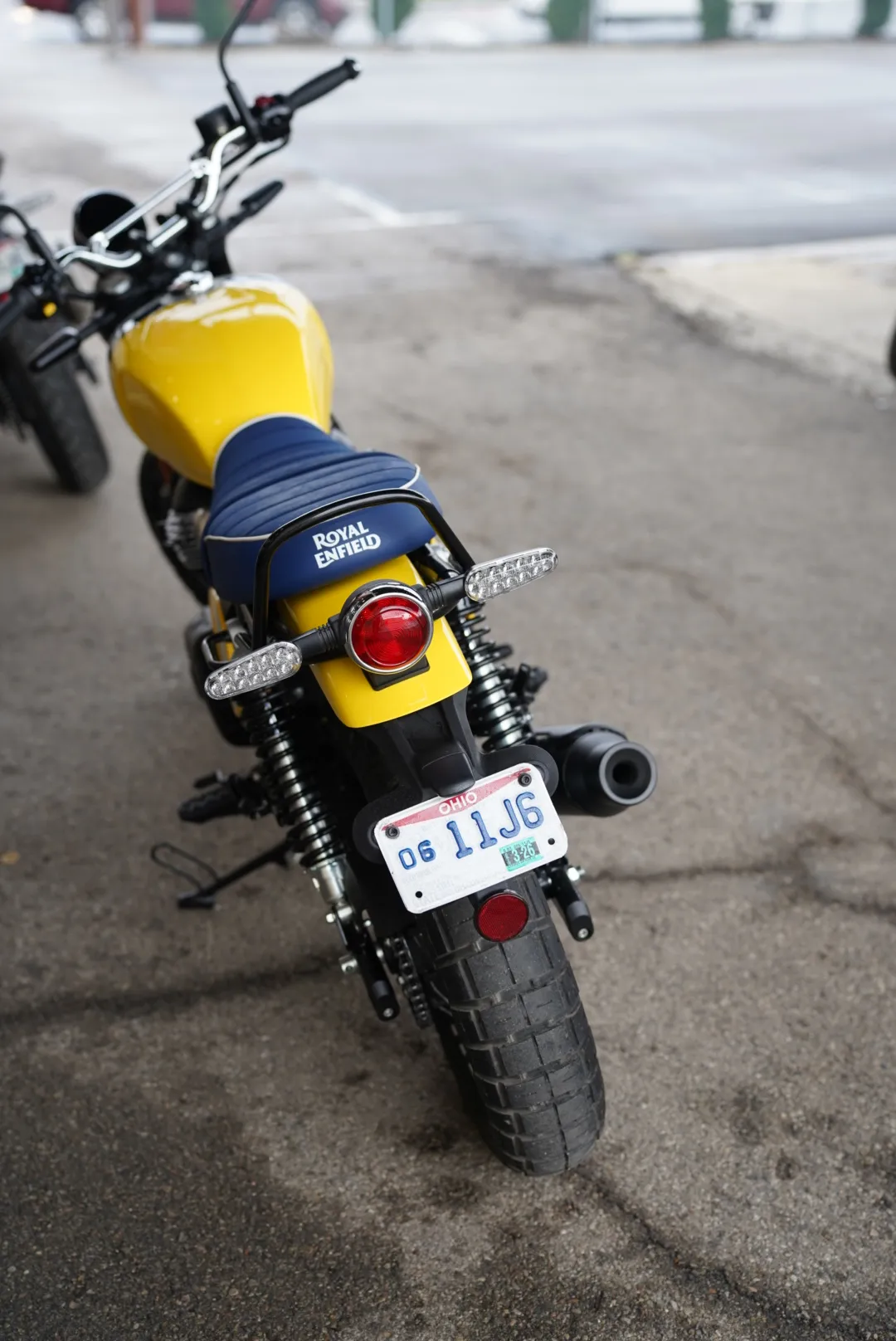 DSC02355 2027 Royal Enfield Bear 650 - Wild Honey