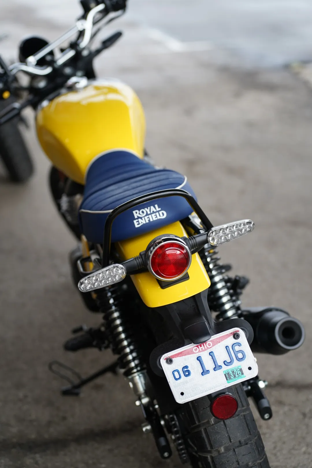 DSC02357 2027 Royal Enfield Bear 650 - Wild Honey
