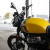 DSC02358 2027 Royal Enfield Bear 650 - Wild Honey
