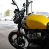 DSC02359 2027 Royal Enfield Bear 650 - Wild Honey