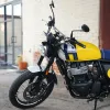 DSC02365 2027 Royal Enfield Bear 650 - Wild Honey