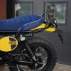 DSC02367 2027 Royal Enfield Bear 650 - Wild Honey