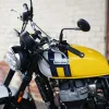 DSC02369 2027 Royal Enfield Bear 650 - Wild Honey