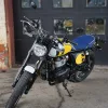 DSC02373 2027 Royal Enfield Bear 650 - Wild Honey