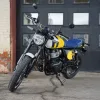 DSC02374 2027 Royal Enfield Bear 650 - Wild Honey