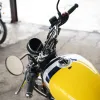 DSC02375 2027 Royal Enfield Bear 650 - Wild Honey