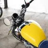 DSC02376 2027 Royal Enfield Bear 650 - Wild Honey
