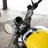 DSC02378 2027 Royal Enfield Bear 650 - Wild Honey