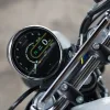 DSC02380 2027 Royal Enfield Bear 650 - Wild Honey