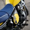 DSC02381 2027 Royal Enfield Bear 650 - Wild Honey