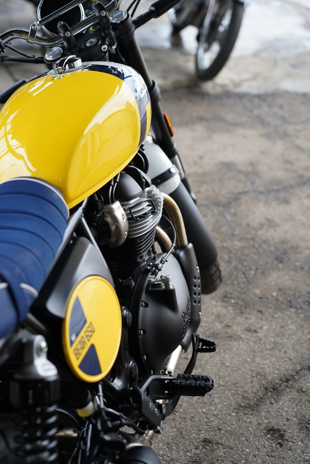 DSC02383 2027 Royal Enfield Bear 650 - Wild Honey