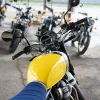 DSC02384 2027 Royal Enfield Bear 650 - Wild Honey