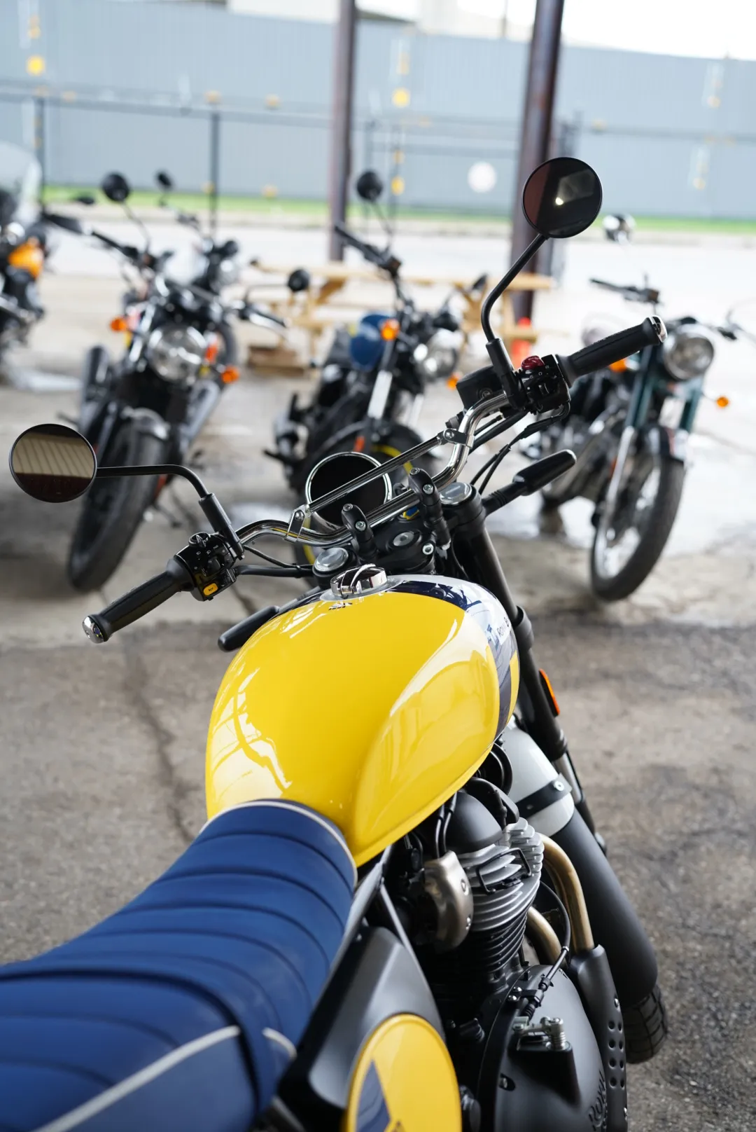 DSC02384 2027 Royal Enfield Bear 650 - Wild Honey