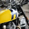 DSC02385 2027 Royal Enfield Bear 650 - Wild Honey