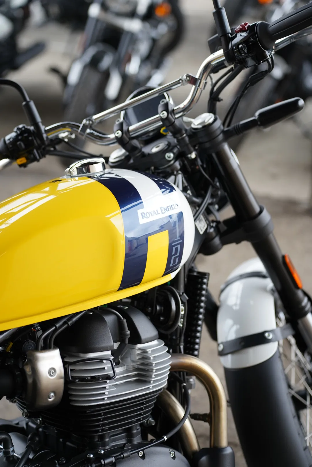 DSC02385 2027 Royal Enfield Bear 650 - Wild Honey