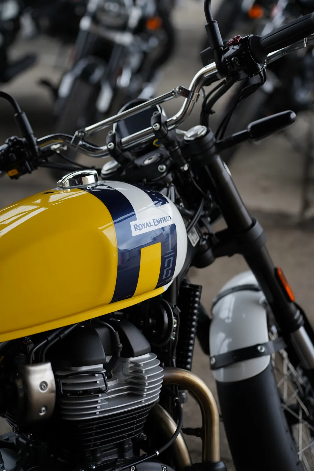 DSC02386 2027 Royal Enfield Bear 650 - Wild Honey